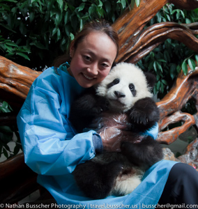 Panda Base. Chengdu, China