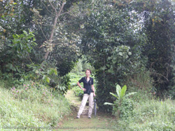 Volcanoes Bwindi Lodge