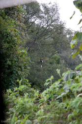 Uganda - out and about