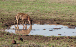 The Best of Uganda & Tanzania