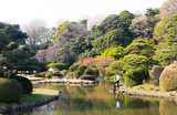 20080406-IMG_4073