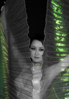 20090418-IMG_3199.CR2